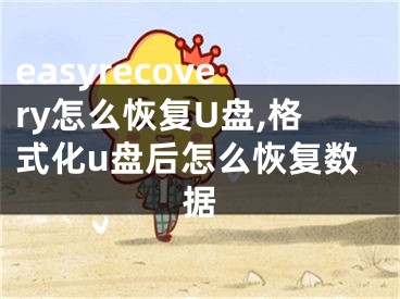 easyrecovery怎么恢复U盘,格式化u盘后怎么恢复数据