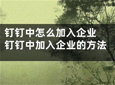 钉钉中怎么加入企业 钉钉中加入企业的方法