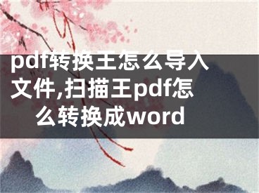 pdf转换王怎么导入文件,扫描王pdf怎么转换成word