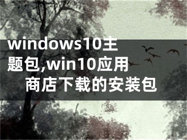 windows10主题包,win10应用商店下载的安装包