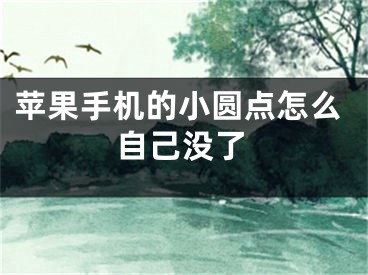 苹果手机的小圆点怎么自己没了