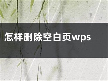 怎样删除空白页wps