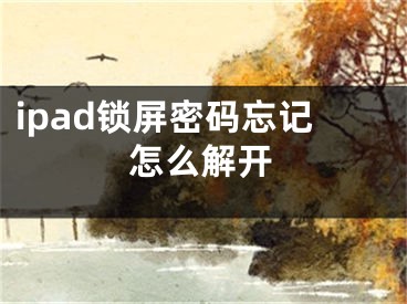 ipad锁屏密码忘记怎么解开