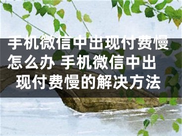 手机微信中出现付费慢怎么办 手机微信中出现付费慢的解决方法