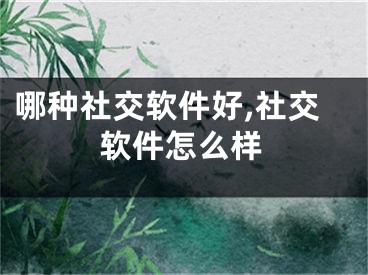 哪种社交软件好,社交软件怎么样