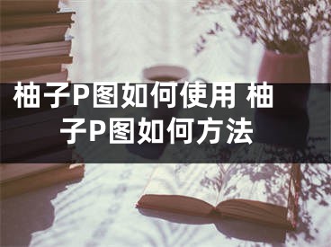 柚子P图如何使用 柚子P图如何方法