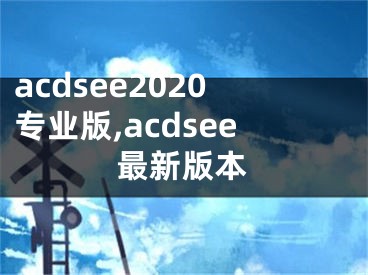 acdsee2020专业版,acdsee最新版本