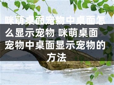 咪萌桌面宠物中桌面怎么显示宠物 咪萌桌面宠物中桌面显示宠物的方法