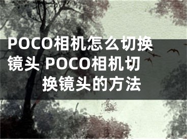 POCO相机怎么切换镜头 POCO相机切换镜头的方法