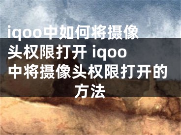 iqoo中如何将摄像头权限打开 iqoo中将摄像头权限打开的方法 