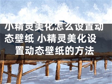 小精灵美化怎么设置动态壁纸 小精灵美化设置动态壁纸的方法