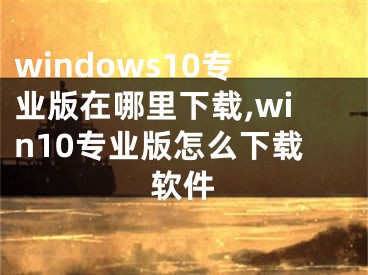 windows10专业版在哪里下载,win10专业版怎么下载软件