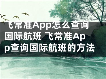 飞常准App怎么查询国际航班 飞常准App查询国际航班的方法