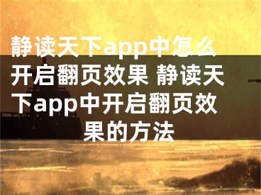 静读天下app中怎么开启翻页效果 静读天下app中开启翻页效果的方法