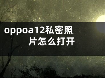 oppoa12私密照片怎么打开