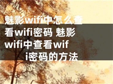 魅影wifi中怎么查看wifi密码 魅影wifi中查看wifi密码的方法