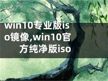 win10专业版iso镜像,win10官方纯净版iso