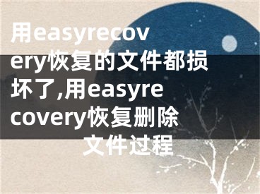 用easyrecovery恢复的文件都损坏了,用easyrecovery恢复删除文件过程