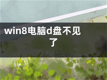 win8电脑d盘不见了