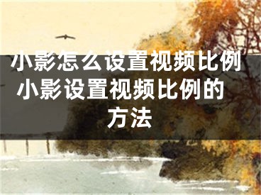 小影怎么设置视频比例 小影设置视频比例的方法