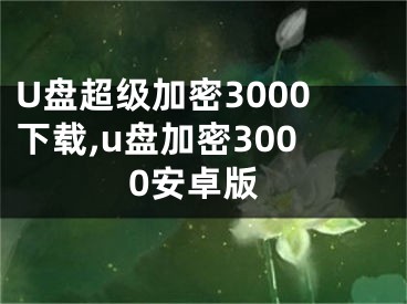 U盘超级加密3000下载,u盘加密3000安卓版