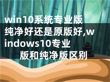 win10系统专业版纯净好还是原版好,windows10专业版和纯净版区别