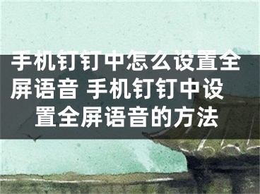 手机钉钉中怎么设置全屏语音 手机钉钉中设置全屏语音的方法