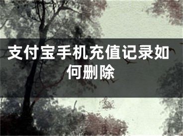 支付宝手机充值记录如何删除