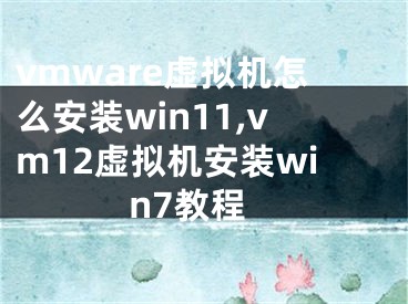 vmware虚拟机怎么安装win11,vm12虚拟机安装win7教程