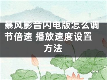 暴风影音闪电版怎么调节倍速 播放速度设置方法