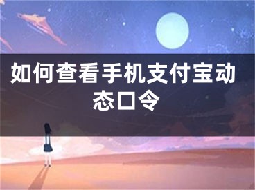 如何查看手机支付宝动态口令