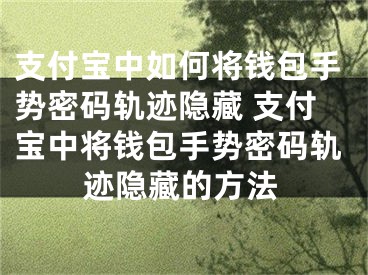 支付宝中如何将钱包手势密码轨迹隐藏 支付宝中将钱包手势密码轨迹隐藏的方法