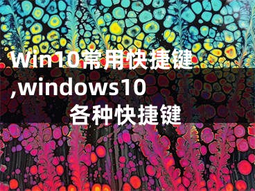 Win10常用快捷键,windows10各种快捷键