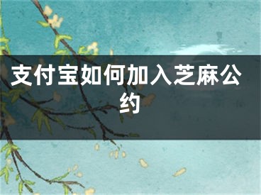 支付宝如何加入芝麻公约