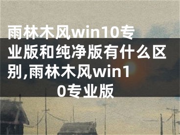 雨林木风win10专业版和纯净版有什么区别,雨林木风win10专业版