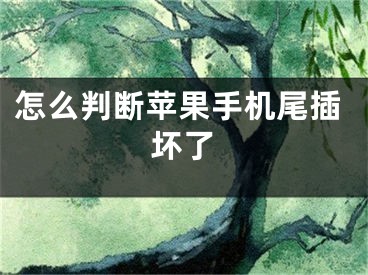 怎么判断苹果手机尾插坏了