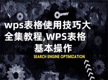 wps表格使用技巧大全集教程,WPS表格基本操作