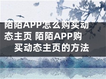 陌陌APP怎么购买动态主页 陌陌APP购买动态主页的方法