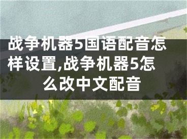 战争机器5国语配音怎样设置,战争机器5怎么改中文配音