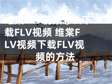 维棠FLV视频怎么下载FLV视频 维棠FLV视频下载FLV视频的方法