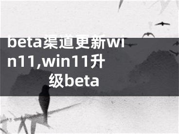 beta渠道更新win11,win11升级beta