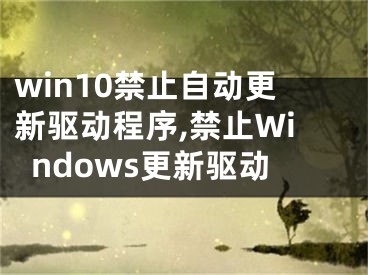 win10禁止自动更新驱动程序,禁止Windows更新驱动