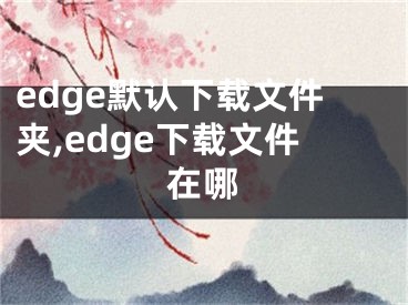 edge默认下载文件夹,edge下载文件在哪