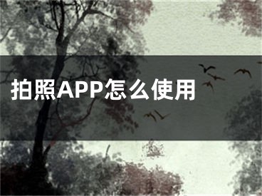 拍照APP怎么使用 