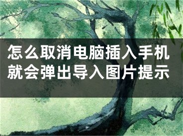 怎么取消电脑插入手机就会弹出导入图片提示