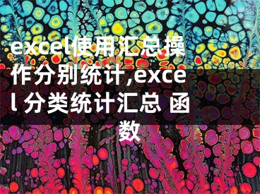 excel使用汇总操作分别统计,excel 分类统计汇总 函数