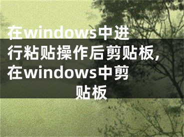 在windows中进行粘贴操作后剪贴板,在windows中剪贴板