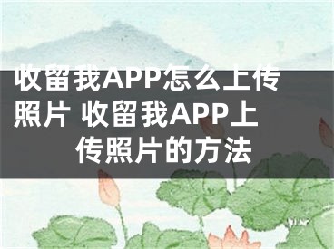 收留我APP怎么上传照片 收留我APP上传照片的方法