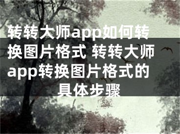 转转大师app如何转换图片格式 转转大师app转换图片格式的具体步骤