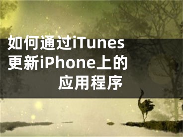 如何通过iTunes更新iPhone上的应用程序